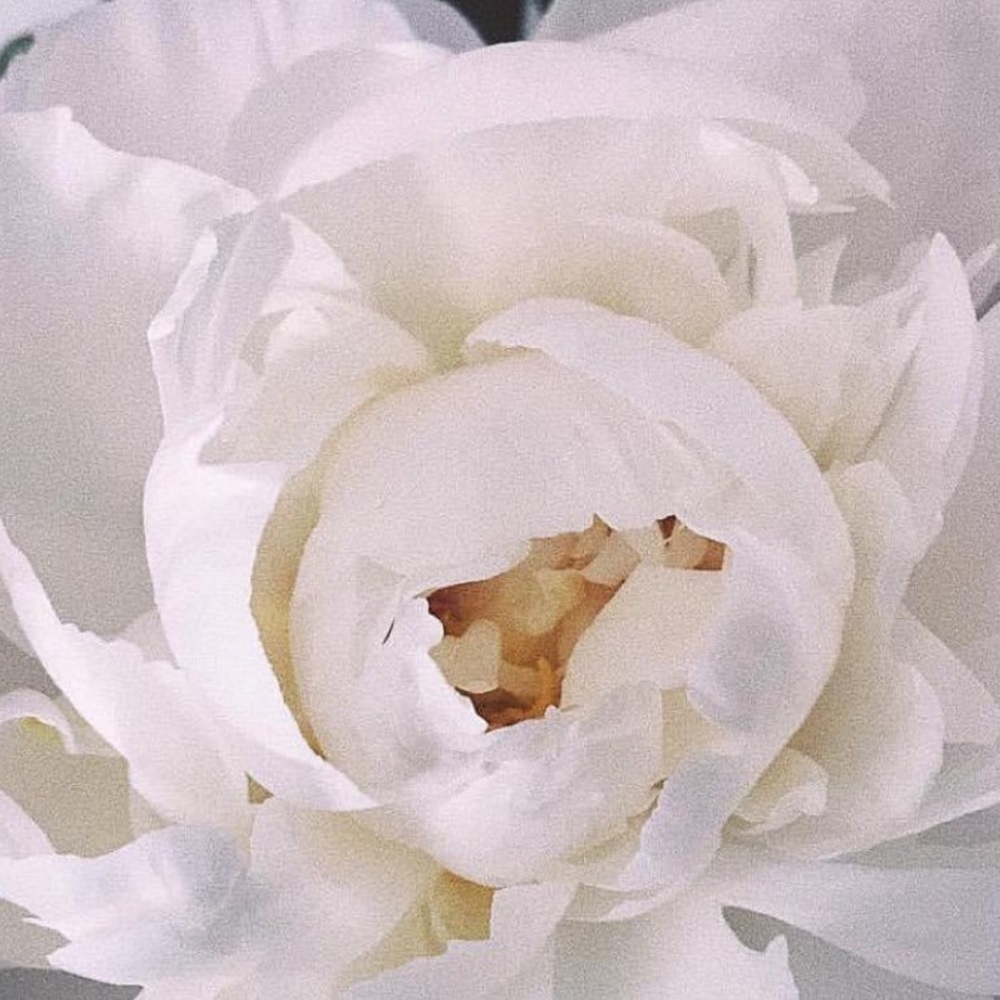 Meet your Posher, Irina